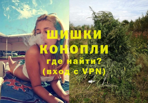 дмт Арсеньев