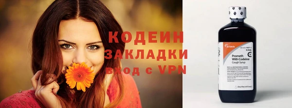 гашик Аркадак