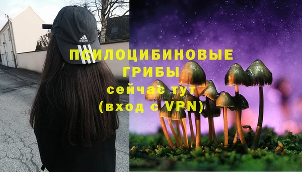 меф Алексин