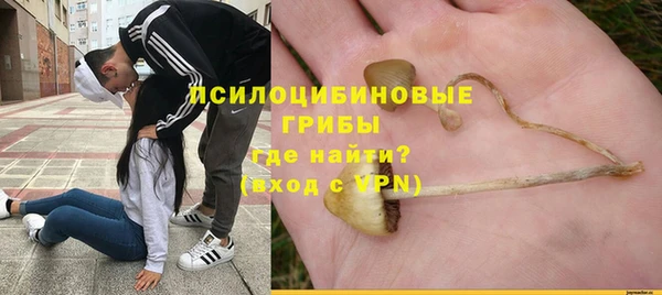 гашик Аркадак