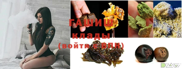 гашик Аркадак